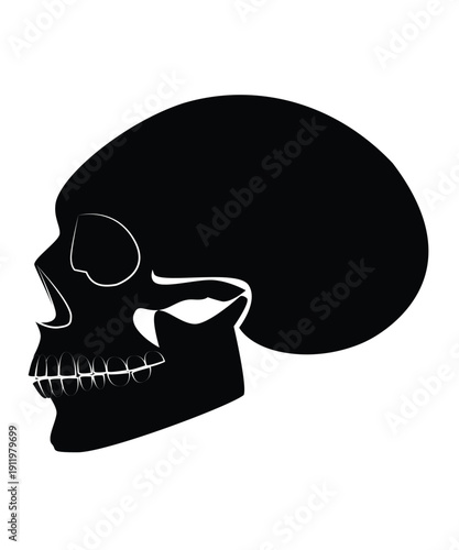 Skull black color isolated on the white background side view