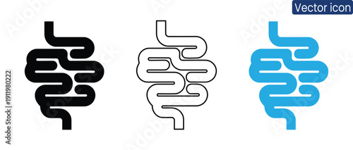 Set of stomach anatomy icons in different styles and colors