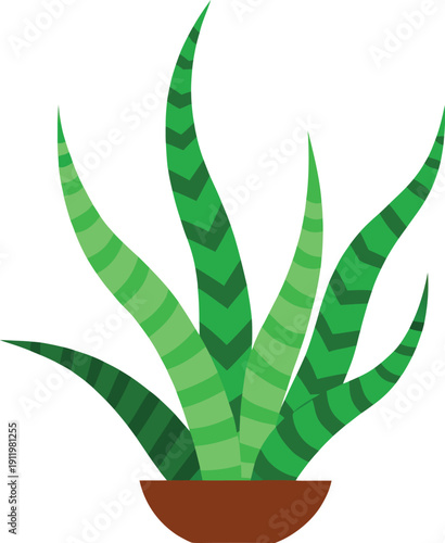 Green snake plant potted vector illustration design