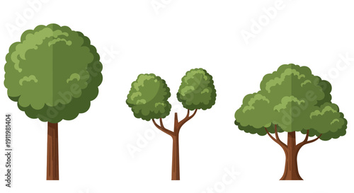 Set of Three Stylized Flat Design Trees in Various Shapes and Sizes on White Background