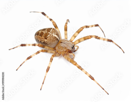 Futuristic Spaceship Flying at Hyper Speed in Deep Space, Warp Engine Starship Science Fiction Background