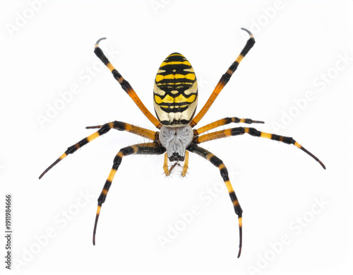 Futuristic Spaceship Flying at Hyper Speed in Deep Space, Warp Engine Starship Science Fiction Background