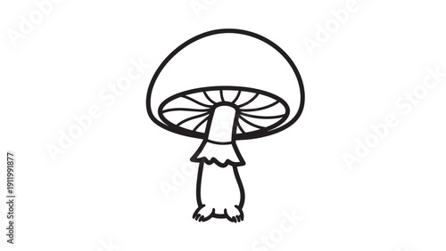 Minimal line drawing of a mushroom with cap and stem in black and white.