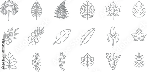 Collection of eighteen distinct tropical and botanical line art icons featuring various fruit, vine, and leaf shapes for decorative design elements