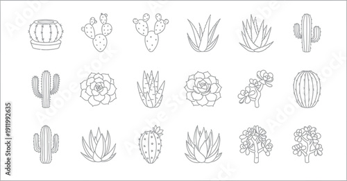 Collection of line art illustrations featuring various popular cactus and succulent plants perfect for gardening or desert themed design projects