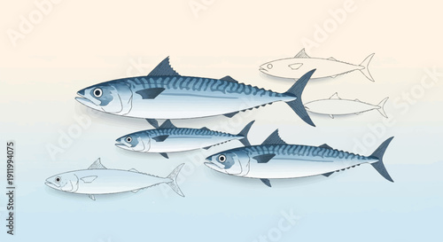 Stylized illustration of mackerel swimming in a group, with some sketched outlines