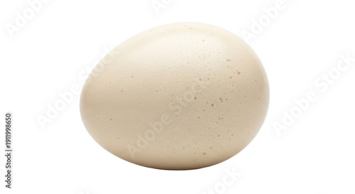 Speckled egg PNG isolated on transparent background, natural food source for cooking and baking, healthy protein ingredient