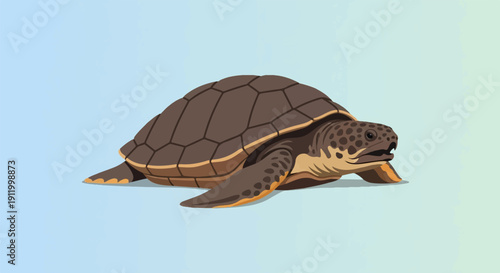Stylized illustration of a brown sea turtle on a light blue and green background