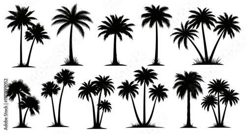 Collection of Silhouetted Palm Trees in Various Arrangements and Sizes.