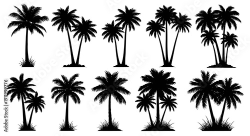 Collection of Black Silhouette Palm Trees and Tropical Vegetation on White Background