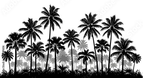 Dense Silhouette of Tropical Palm Trees and Lush Vegetation in Black and White