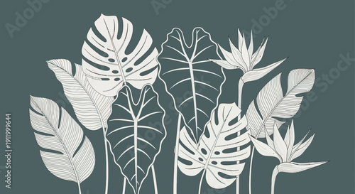 Exotic Tropical Foliage and Bird of Paradise Flowers Botanical Art Illustration