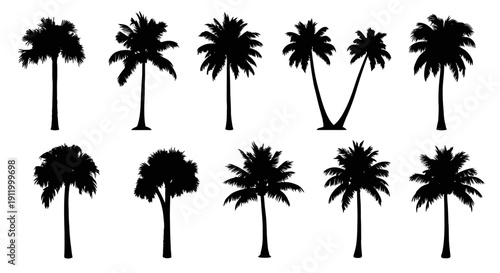 Collection of Ten Distinct Palm Tree Silhouettes on White Background