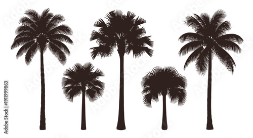 Collection of Five Silhouette Palm Trees in Various Shapes and Sizes