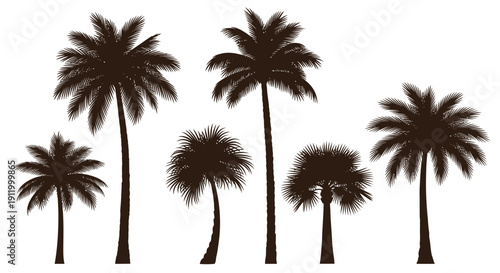 Collection of Diverse Silhouette Palm Trees on a White Background