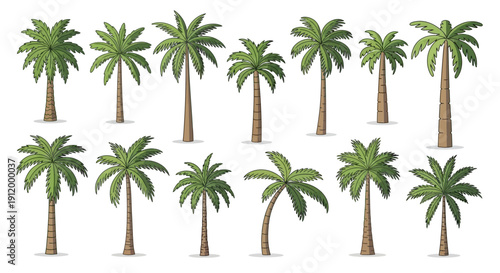 Diverse Collection of Stylized Palm Trees Vector Illustrations in Different Shapes