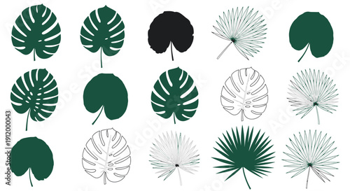 Collection of various green and outline tropical plant leaves on white background