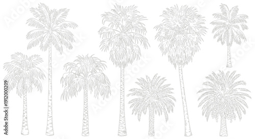 Collection of Diverse Palm Tree Vector Illustrations on a White Background