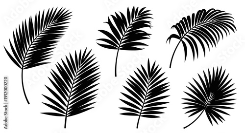 Collection of Stylized Black Palm Tree Leaves Silhouettes on White Background