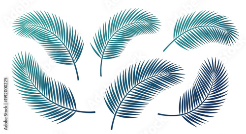 Set of Tropical Palm Leaves, Exotic Botanical Elements, Vector Illustrations