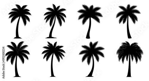Collection of Eight Silhouette Palm Trees on White Background, Tropical Icons