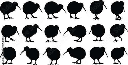 Black vector silhouette set of New Zealand kiwi birds in various walking and foraging poses for flightless bird wildlife conservation nature and animal design