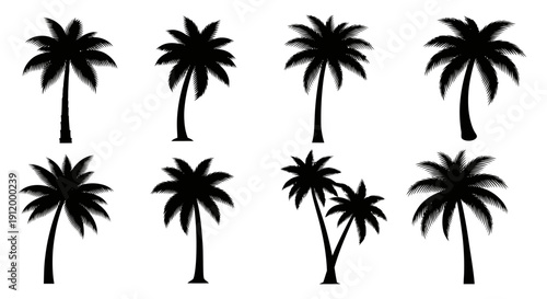 Silhouette Collection of Eight Distinct Palm Trees in Various Poses and Styles