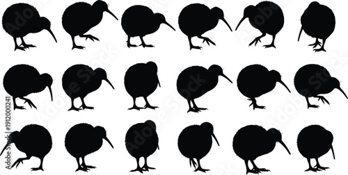 Black vector silhouette set of New Zealand kiwi birds in various walking and foraging poses for flightless bird wildlife conservation nature and animal design