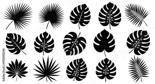 Collection of Black Silhouette Tropical Leaves and Palm Fronds on White Background