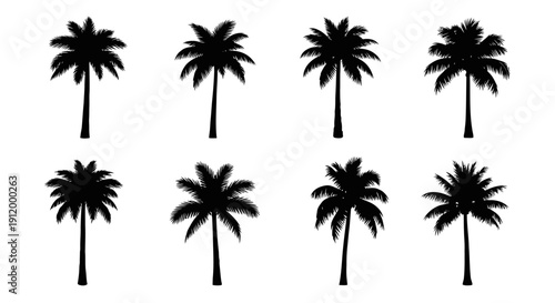 Collection of Eight Distinct Black Silhouette Palm Trees on White Background