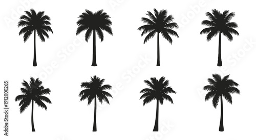 Set of eight distinct black silhouette palm tree illustrations on white background