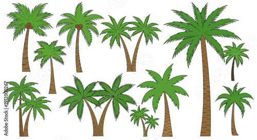 Collection of Diverse Cartoon Palm Trees in Various Styles and Sizes Isolated on White