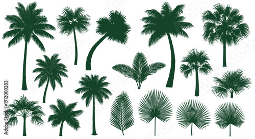Diverse Collection of Green Palm Tree Silhouettes and Leaves on White Background