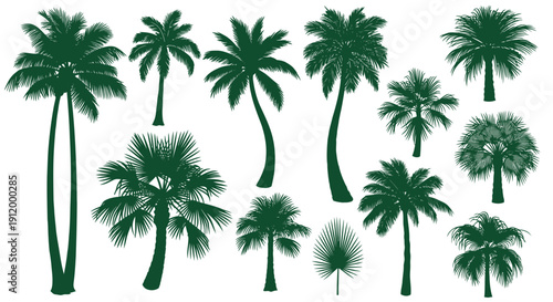 Collection of Diverse Green Palm Tree Silhouettes Isolated on White Background