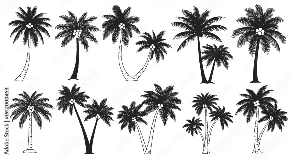 Fototapeta premium Diverse Collection of Black and White Palm Tree Silhouettes, Tropical Vector Illustrations