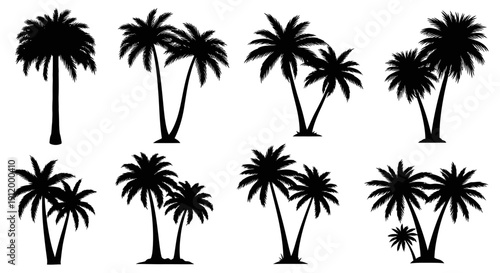 Collection of Diverse Black Palm Tree Silhouettes on White Background, Tropical Vector Set