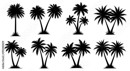 Diverse Silhouette Collection of Palm Trees on White Background