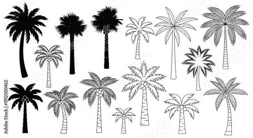 Diverse Collection of Palm Trees: Tropical Plants and Exotic Vegetation Vector Illustrations