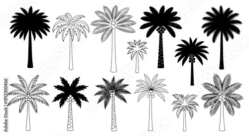 Collection of Diverse Palm Tree Silhouettes and Art Vector Illustrations