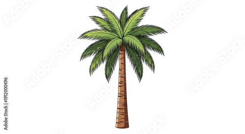 Vibrant Tropical Palm Tree Illustration Isolated on White Background, Perfect for Summer