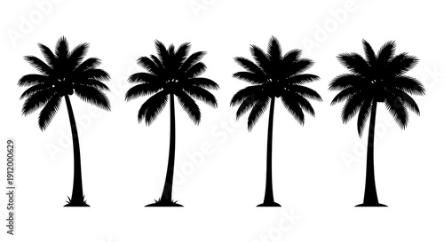 Set of Silhouette Palm Trees Isolated on White Background, Tropical Beach Design Elements