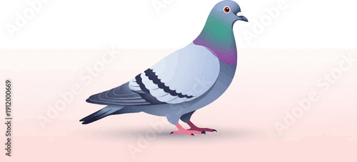 Stylized illustration of a single pigeon standing on a light pink ground with gradient