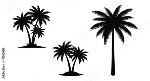 Black Silhouette Palm Trees on White Background - Tropical Vacation Vibe