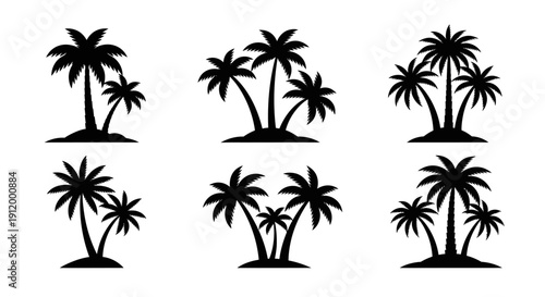 Collection of Black Silhouette Palm Trees on White Background Vector Art