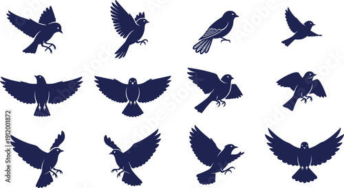 Twelve bird silhouettes in flying positions vector illustration, avian motion design for wildlife, biology, nature, decorative art icon