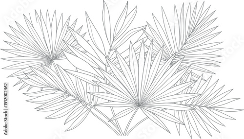 Detailed line art illustration showcasing a vibrant tropical arrangement of various stylized palm fronds layered beautifully against a stark white background perfect for coloring books.