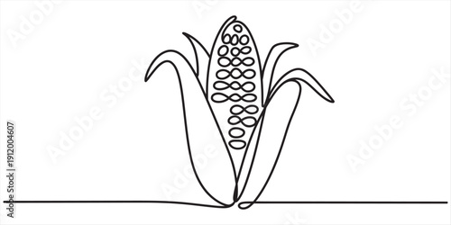 Continuous line drawing of a fresh corn on the cob with husks on a white background. Vector, illustration