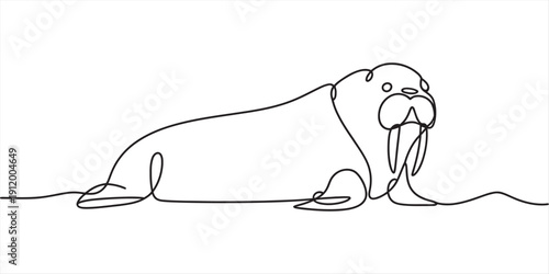 Minimalist one line art illustration of a walrus with tusks isolated on white background. Vector, illustration