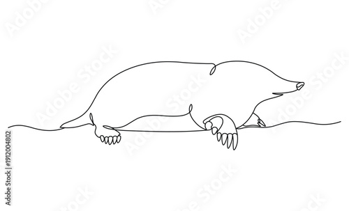 Mole digging through earth using continuous line art style with sharp front digging claws