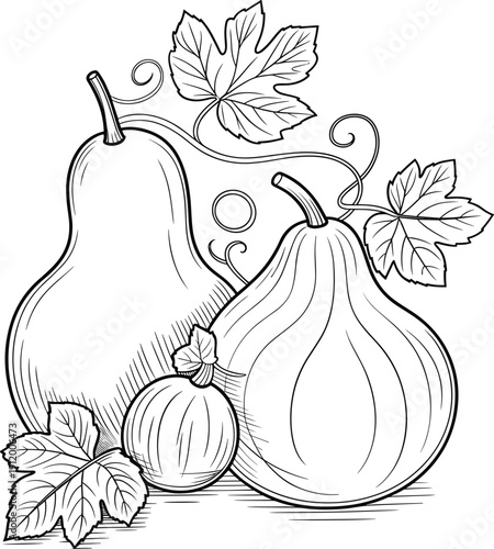 Black and white line of pear pumpkin and small melon with leaves